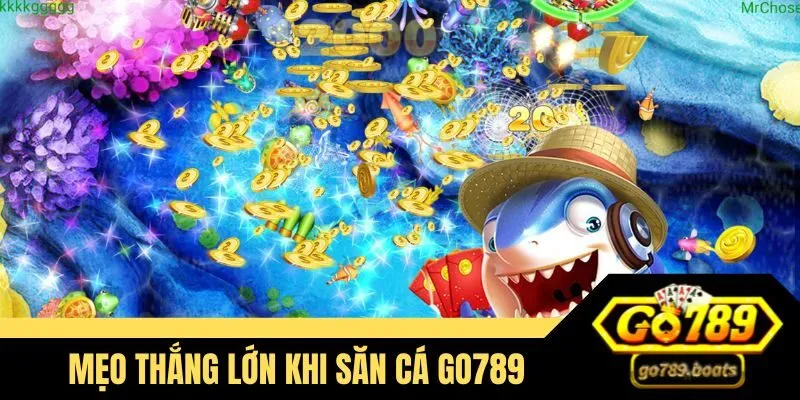 Mẹo thắng lớn khi săn cá tại Go789